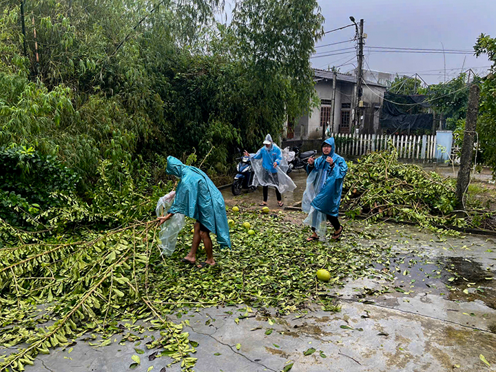 Tại phường An Hoà